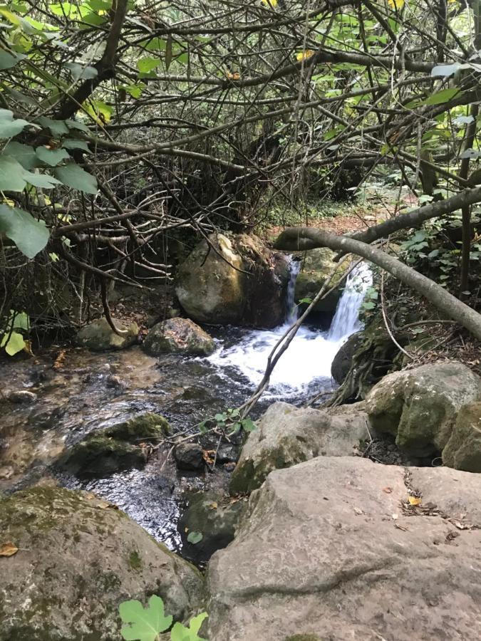 הוילה אל בוסקה Bosque Alto מראה חיצוני תמונה