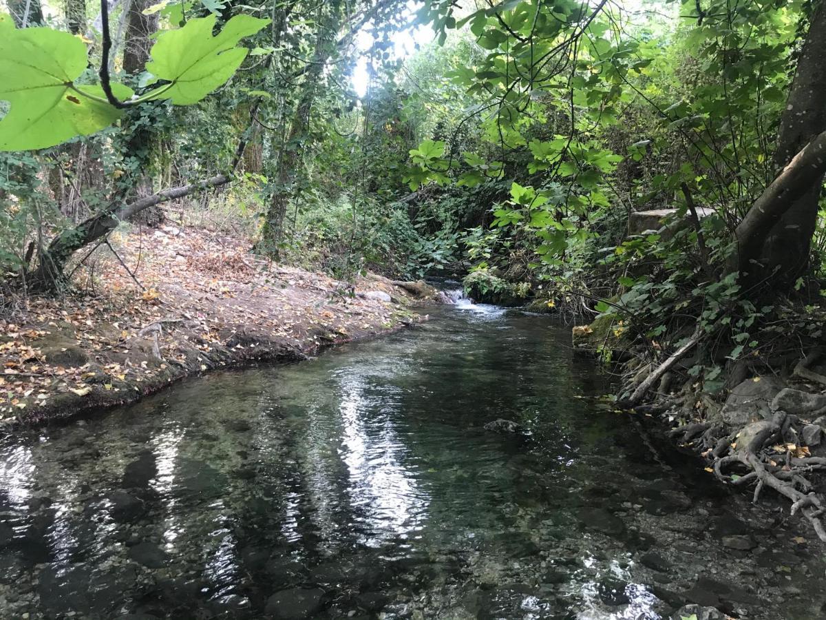 הוילה אל בוסקה Bosque Alto מראה חיצוני תמונה