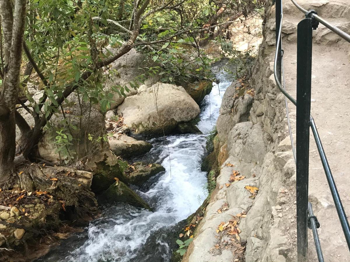 הוילה אל בוסקה Bosque Alto מראה חיצוני תמונה